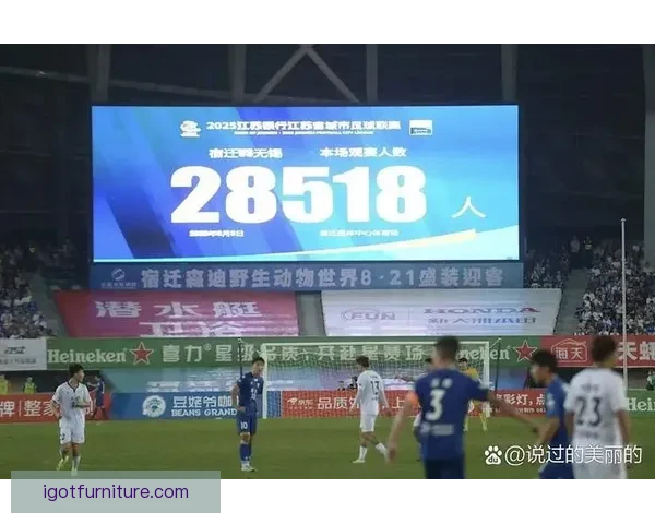苏超南京淮安观众60816人
